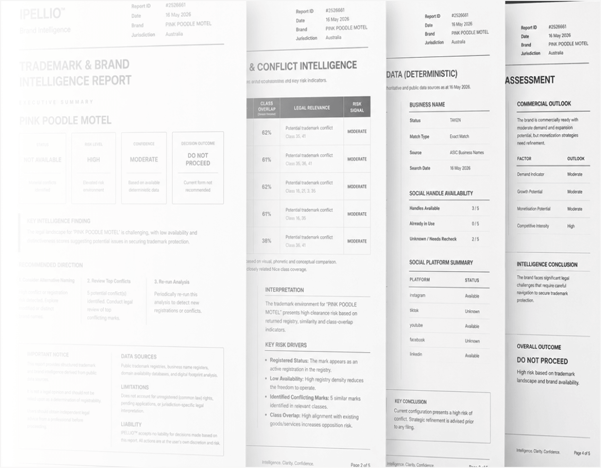 Brand intelligence report pages